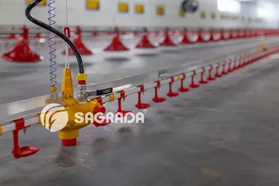 Цена по запросу Автопоилки для бройлеров