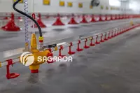 по запросу Автопоилки для бройлеров