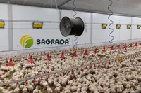 Рециркуляционный вентилятор для птичника - по запросу