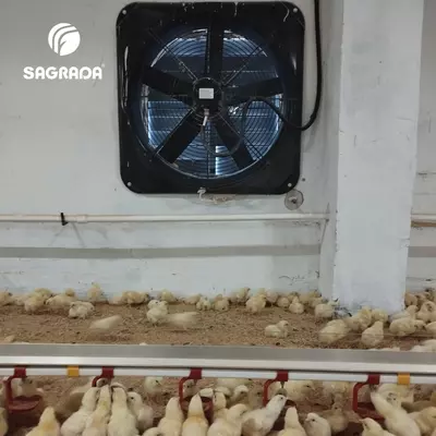Broylerlar uchun ventilyatorlar - Narx so'rov asosida