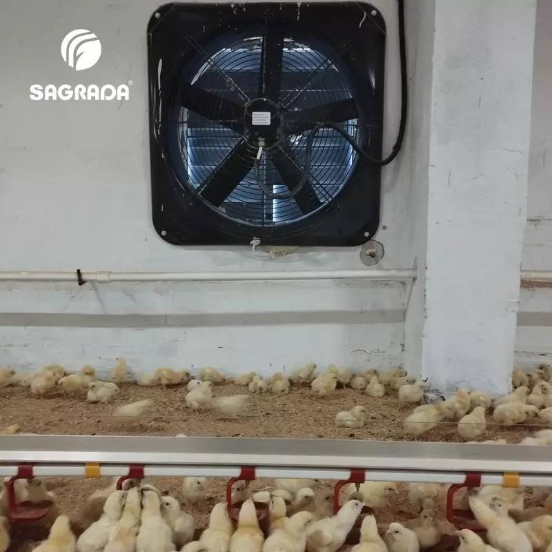 Broylerlar uchun ventilyatorlar - по запросу