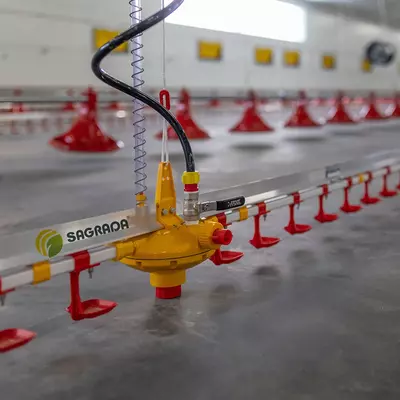 Цена по запросу Линии поения для бройлеров