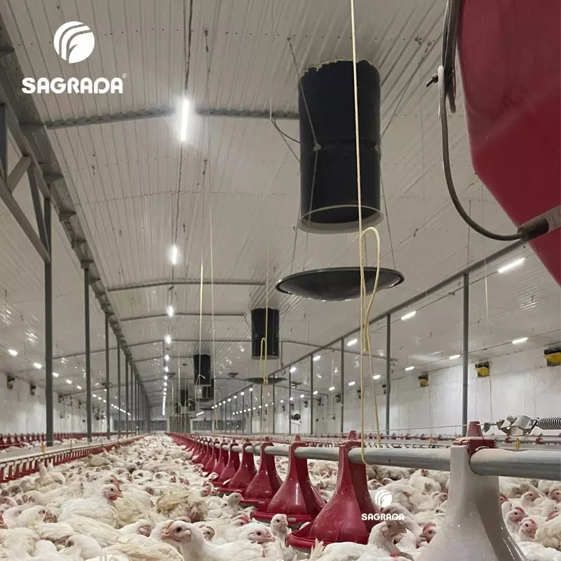 Вытяжные вентиляционные шахты для птичников - по запросу