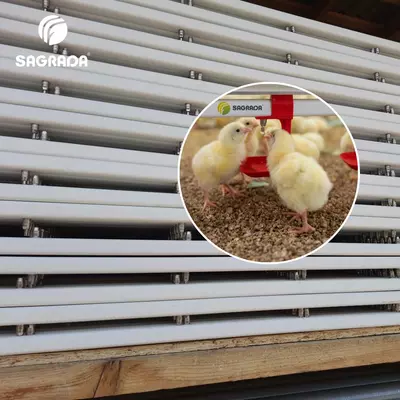 Трубы поения для бройлеров