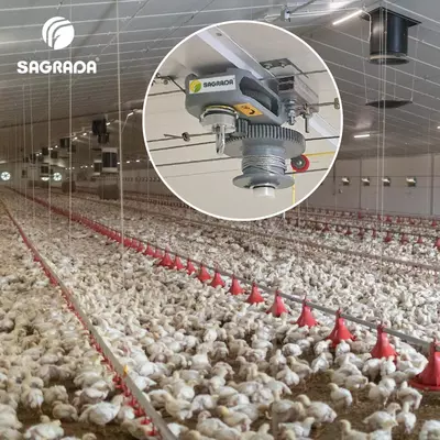 Лебедка потолочная на 1500 кг для птицеводства