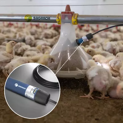 Broyler tovuqlarini boqish liniyalari uchun DOL sig'imli sensorlar