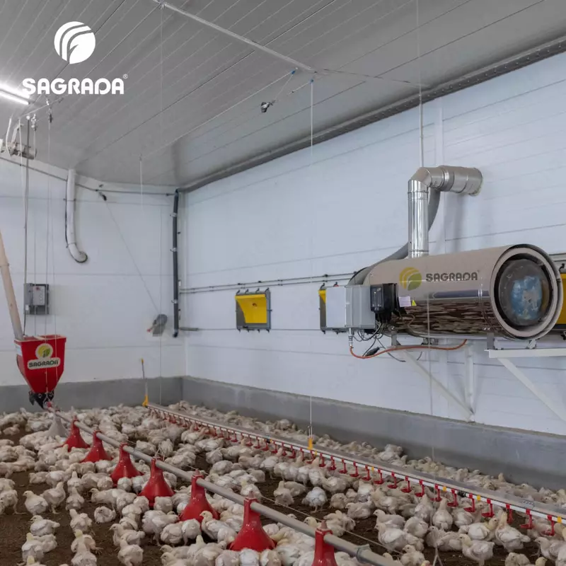   Оборудование для выращивания бройлеров с удаленным контролем