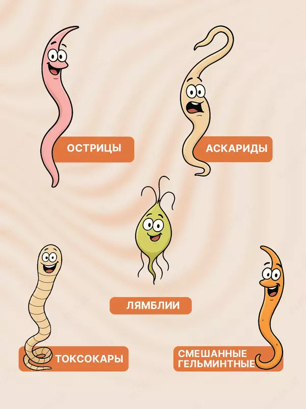 Nutva Gelmin Kids – bolalar organizmini gijjalar va parazitlardan himoya qilish - Biologik faol qo'shimchalar