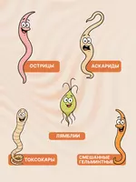 Nutva Gelmin Kids – bolalar organizmini gijjalar va parazitlardan himoya qilish - Biologik faol qo'shimchalar