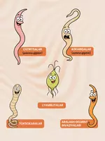 Nutva Gelmin Kids – bolalar organizmini gijjalar va parazitlardan himoya qilish Biologik faol qo'shimchalar