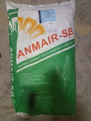 Jiplar yonida qizlar yalangoch