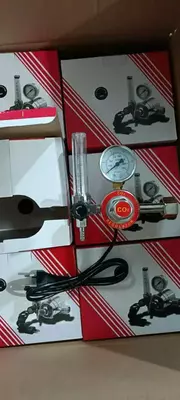 Vites qutisi isitiladigan 220 voltli karbonat angidrid regulyatori