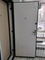  Входная дверь СПЕЦ 2 ПРО - 