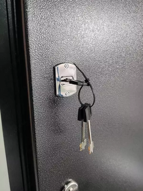   Входная дверь СПЕЦ 2 ПРО