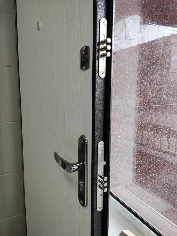  Входная дверь СПЕЦ 2 ПРО Только в розницу