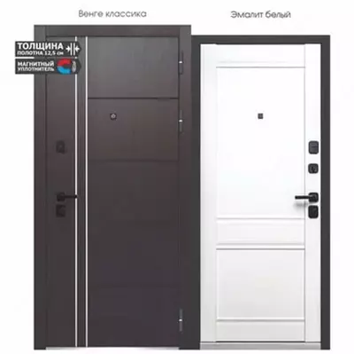 Входные двери Luxor 2 МДФ Молдинг