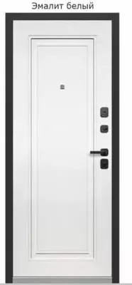 4 200 000 сум / комплект Входная комбинированная дверь "Тайга" 2МДФ Антик (Россия) АКЦИЯ!