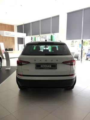 Skoda Kodiaq Style Только в розницу