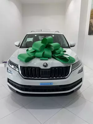 Skoda Kodiaq Style с Доп.опциями