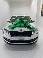 Skoda Kodiaq Style с Доп.опциями