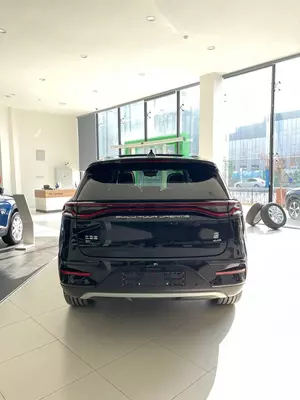 BYD TANG Flagship 4WD ООО "CONTROL AUTO"