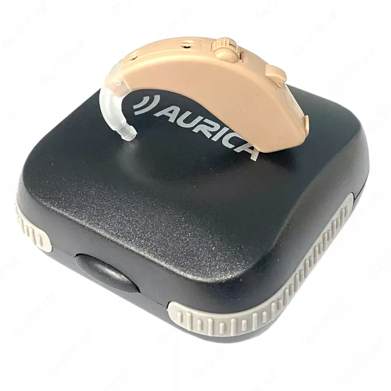 Слуховой аппарат Auriva Every 1660 DP