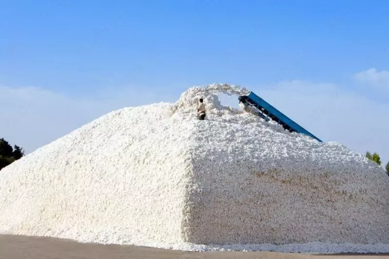 Брезент. Тент. Бризент - от {0} сум