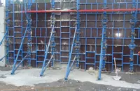 Rossiyada ishlab chiqarilgan qoliplar uchun fin kontrplak Birch kontrplak - {0} so'mdan