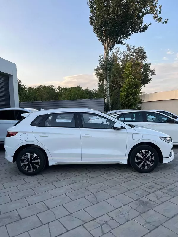 234 673 886 сум новый BYD E2 Flagship