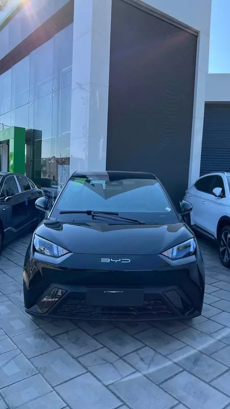 новый BYD Seagull