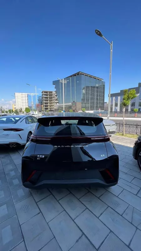 OOO "Control Auto" - новый BYD Seagull