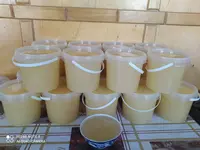 Свой МЁД со своей пасики