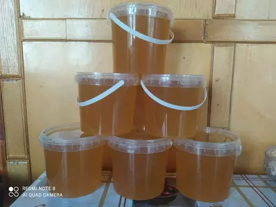 Свой МЁД со своей пасики - 70 000 сум от 150 шт.