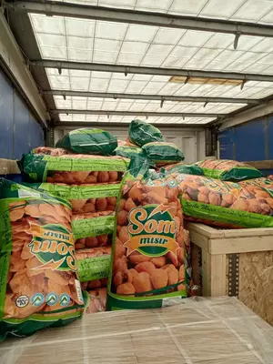 SOM EGYPT Жареная гигантская кукуруза - Цена по запросу