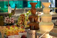 Аренда Большого Шоколадного Фонтана