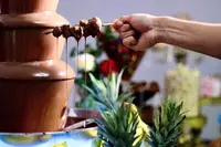 Аренда Большого Шоколадного Фонтана - 2 900 000 сум