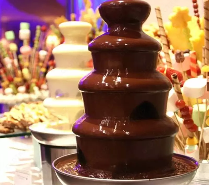 Аренда Большого Шоколадного Фонтана ChocoParty