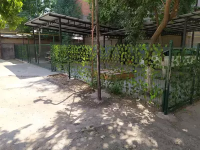 Еврозабор 5 х 20 см