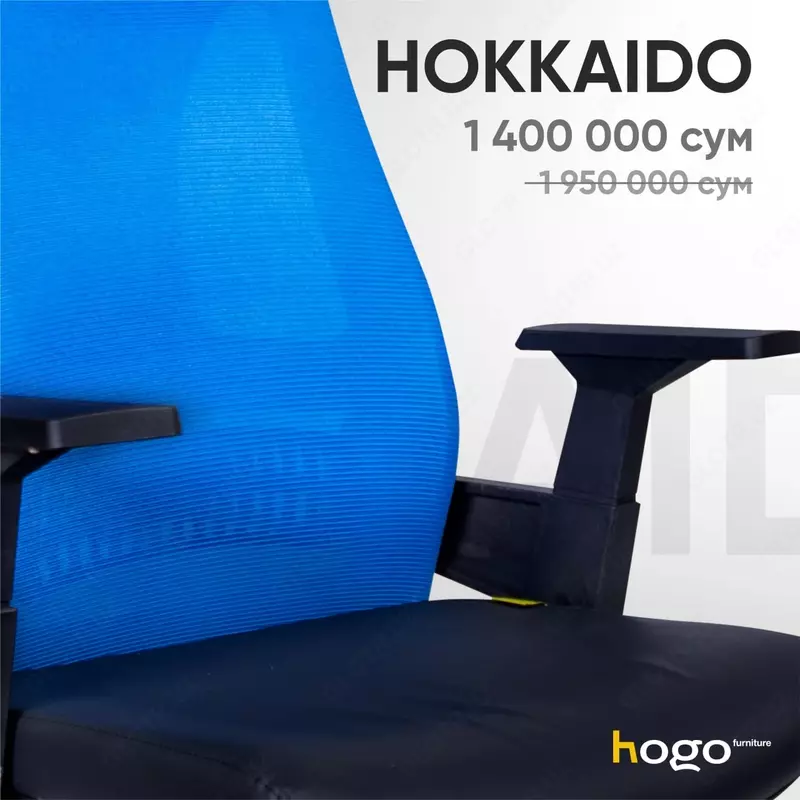 Hokkaido - 1 400 000 so'm