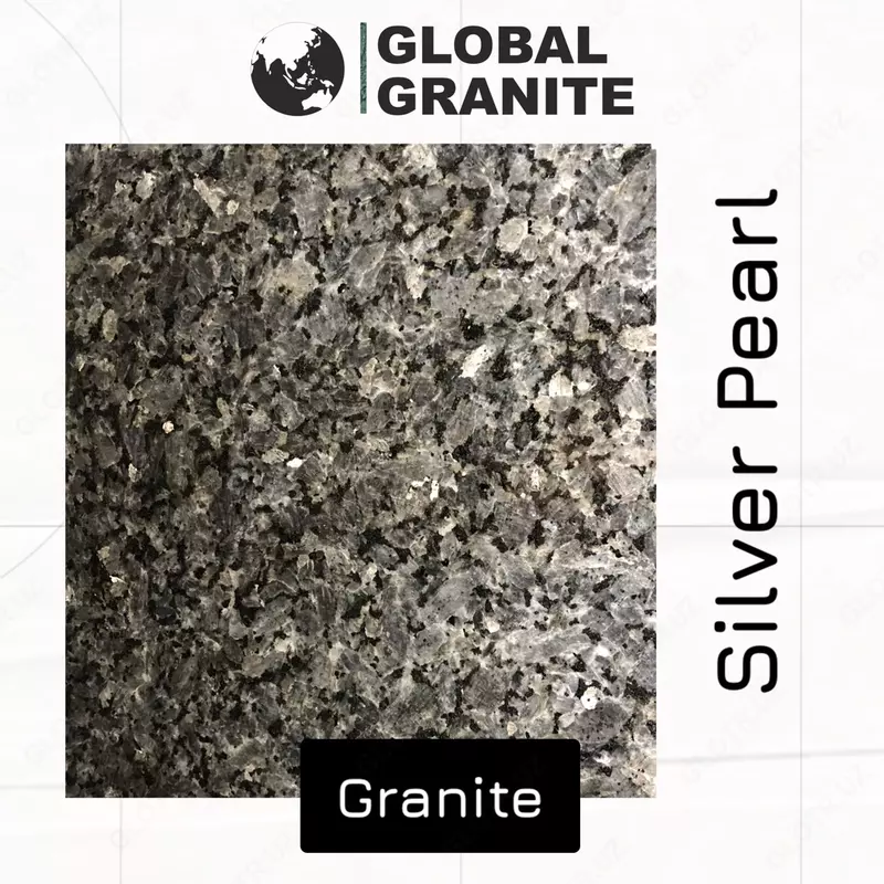 "Silver Paarl" Granit