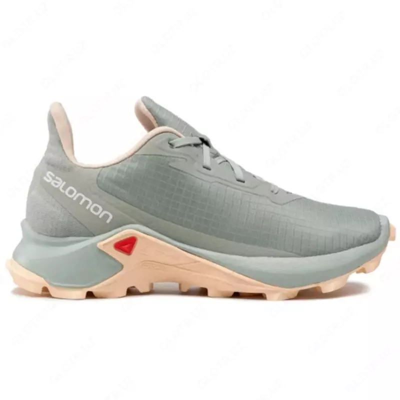 Женские кроссовки Salomon Alphacross 3