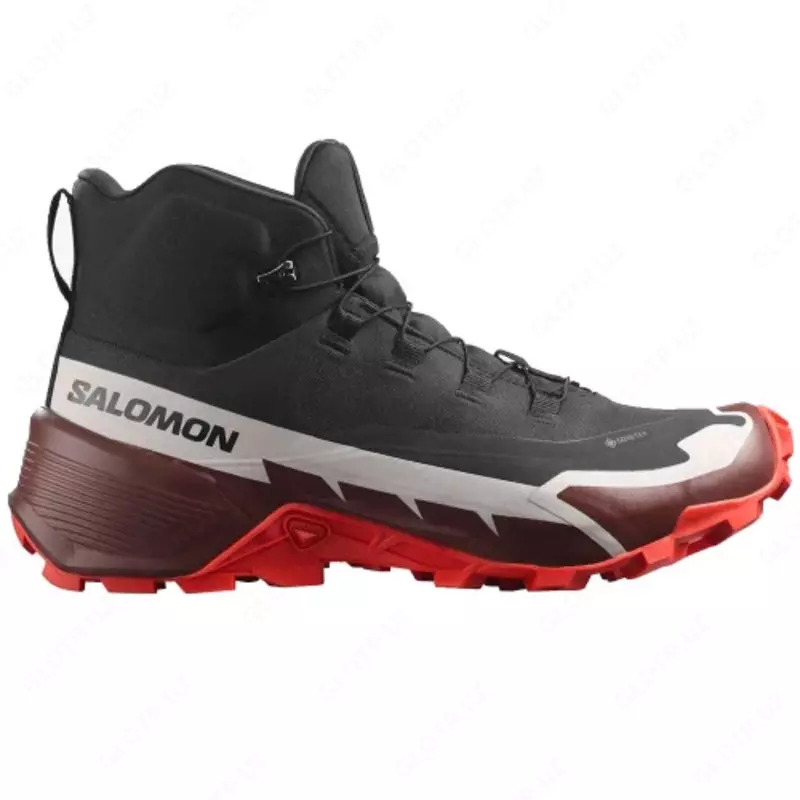 Erkaklar etiklari Salomon Cross Hike 2 Mid GTX