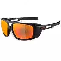 Alpina солнцезащитные очки Skywalsh Cat. 4