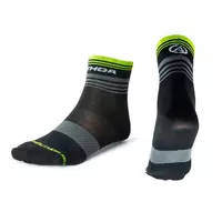 AUTHOR PROLITE paypoqlari