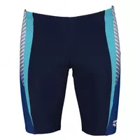 Плавки-шорты длинные мужские ARENA THREEFOLD