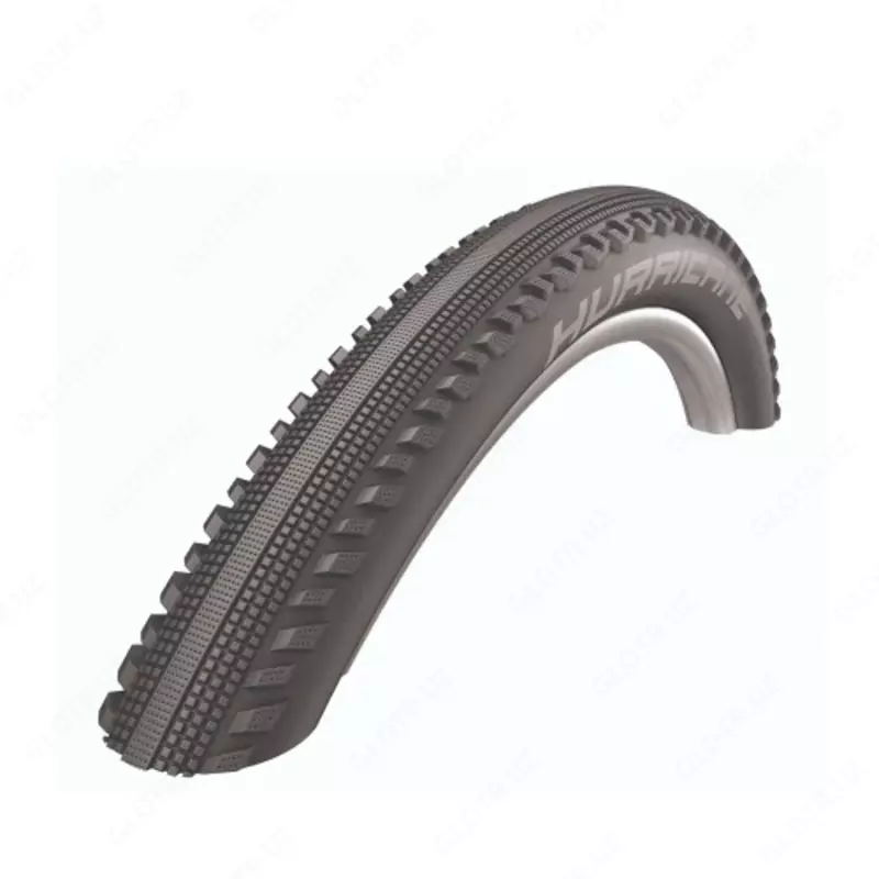 Schwalbe Hurricane Performance Shinasi