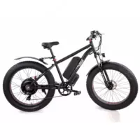 Электровелосипед E-BIKE P800E 27.5 10S  2023catalog