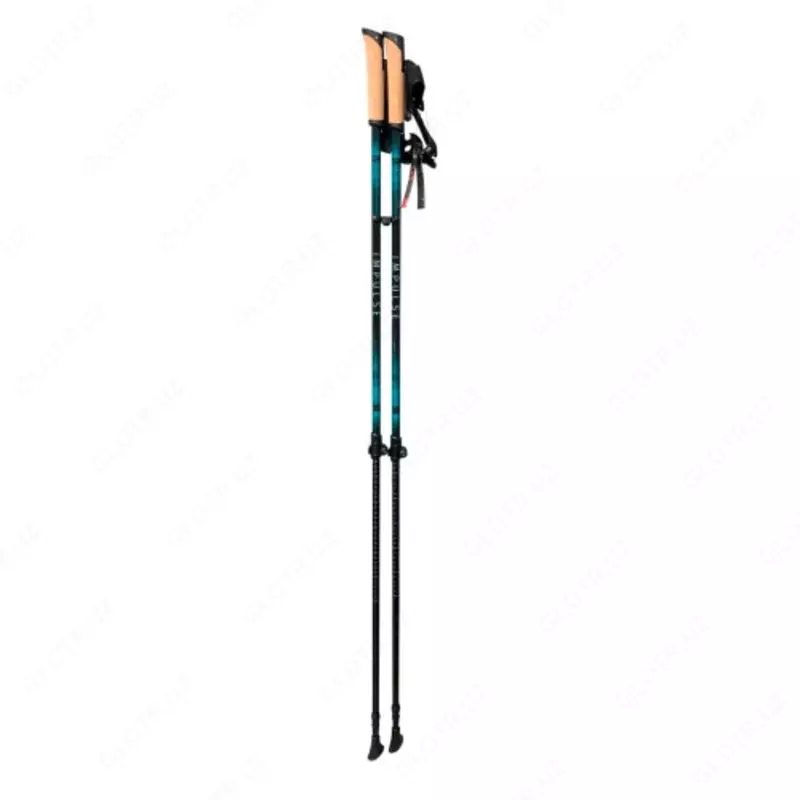  Shimoliy yurish tayoqchalari Tramp Impulse  kok - 