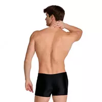 Плавки-шорты спортивные мужские Arena Dynamo