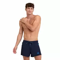 Шорты мужские пляжные Arena Pro file